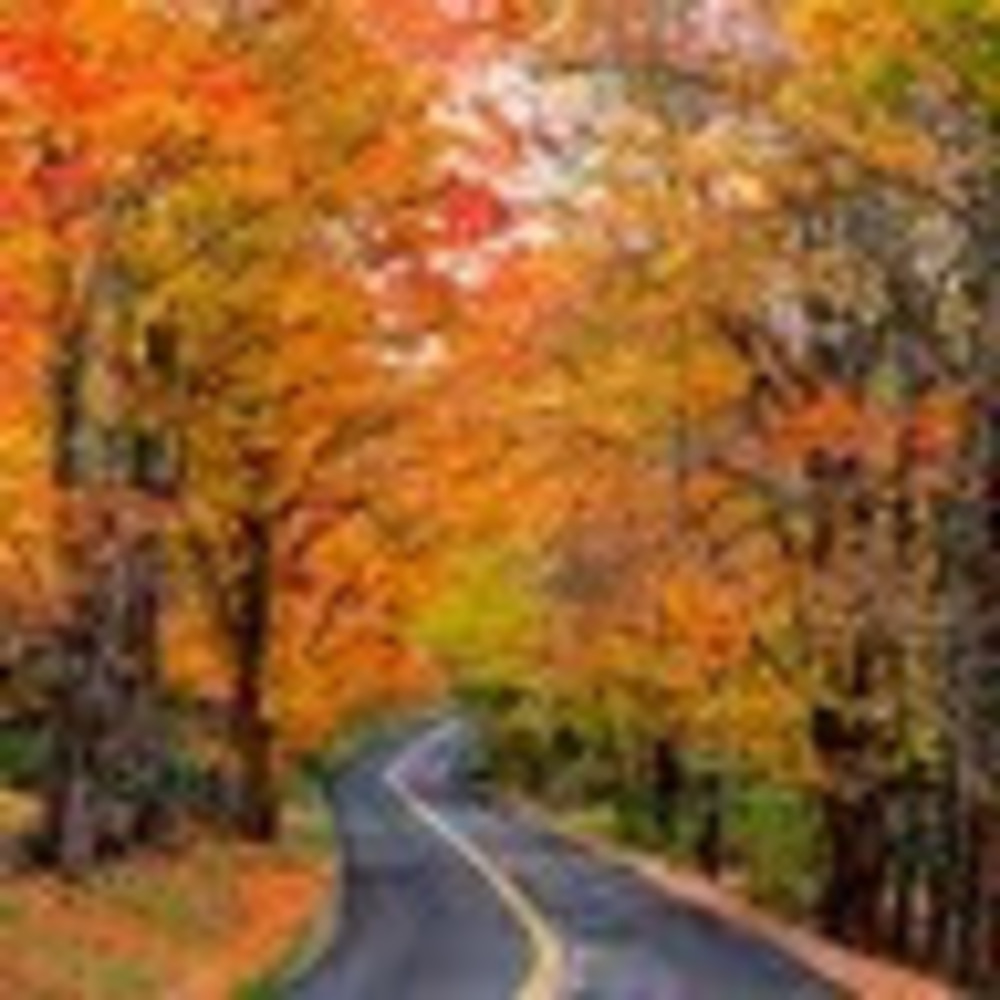 Meet your Posher, Susanne